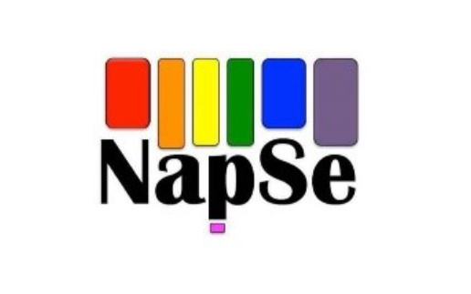NAPSE – Núcleo de Atendimento e Promoção de Saúde em Sexualidade e Gênero